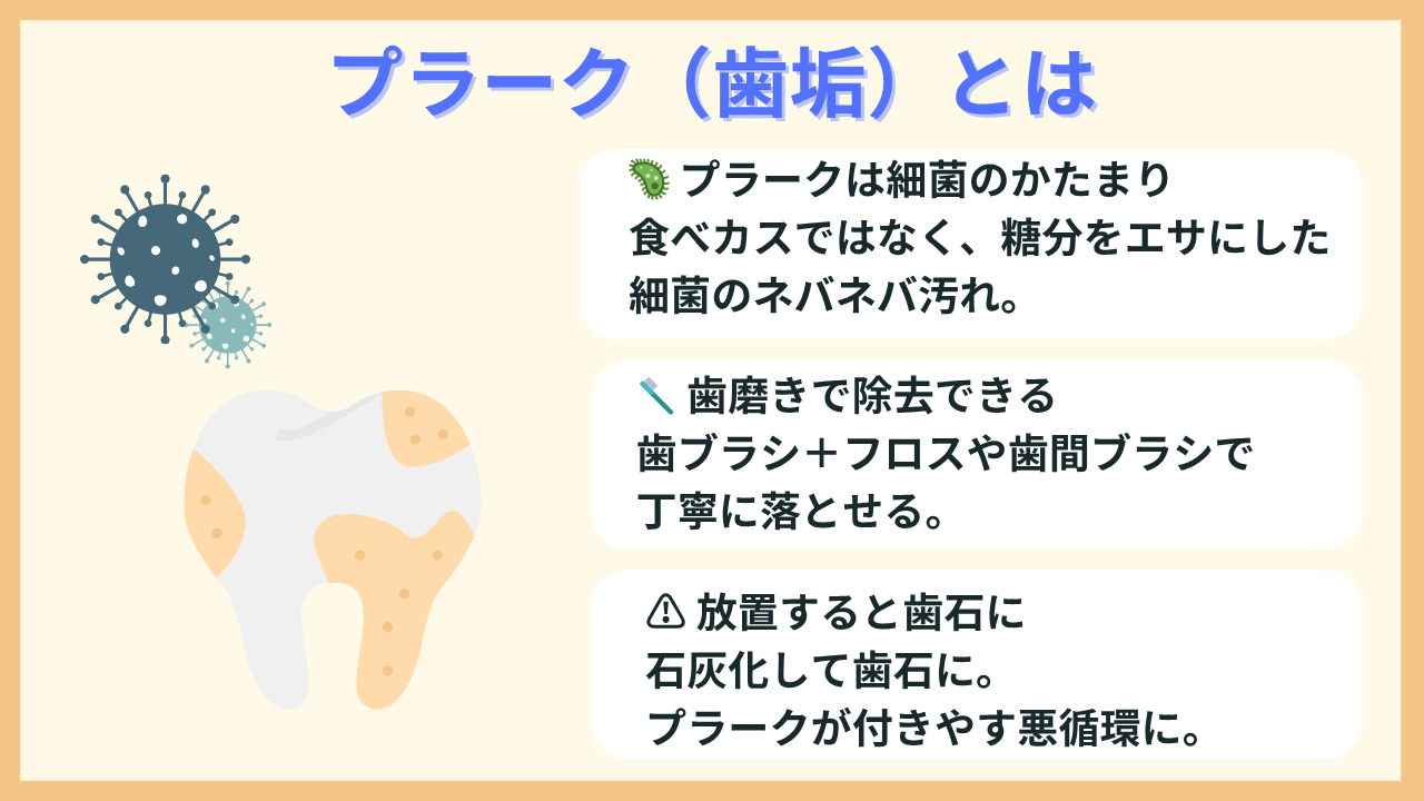 歯磨きでプラーク（歯垢）を除去する方法｜歯石も取れるかを解説｜江戸川区一之江駅前の歯医者｜⼀之江駅前イルニード⻭科