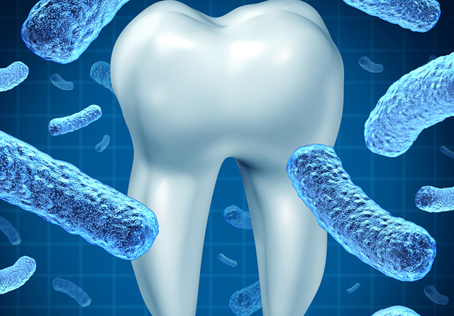 虫歯予防管理システム